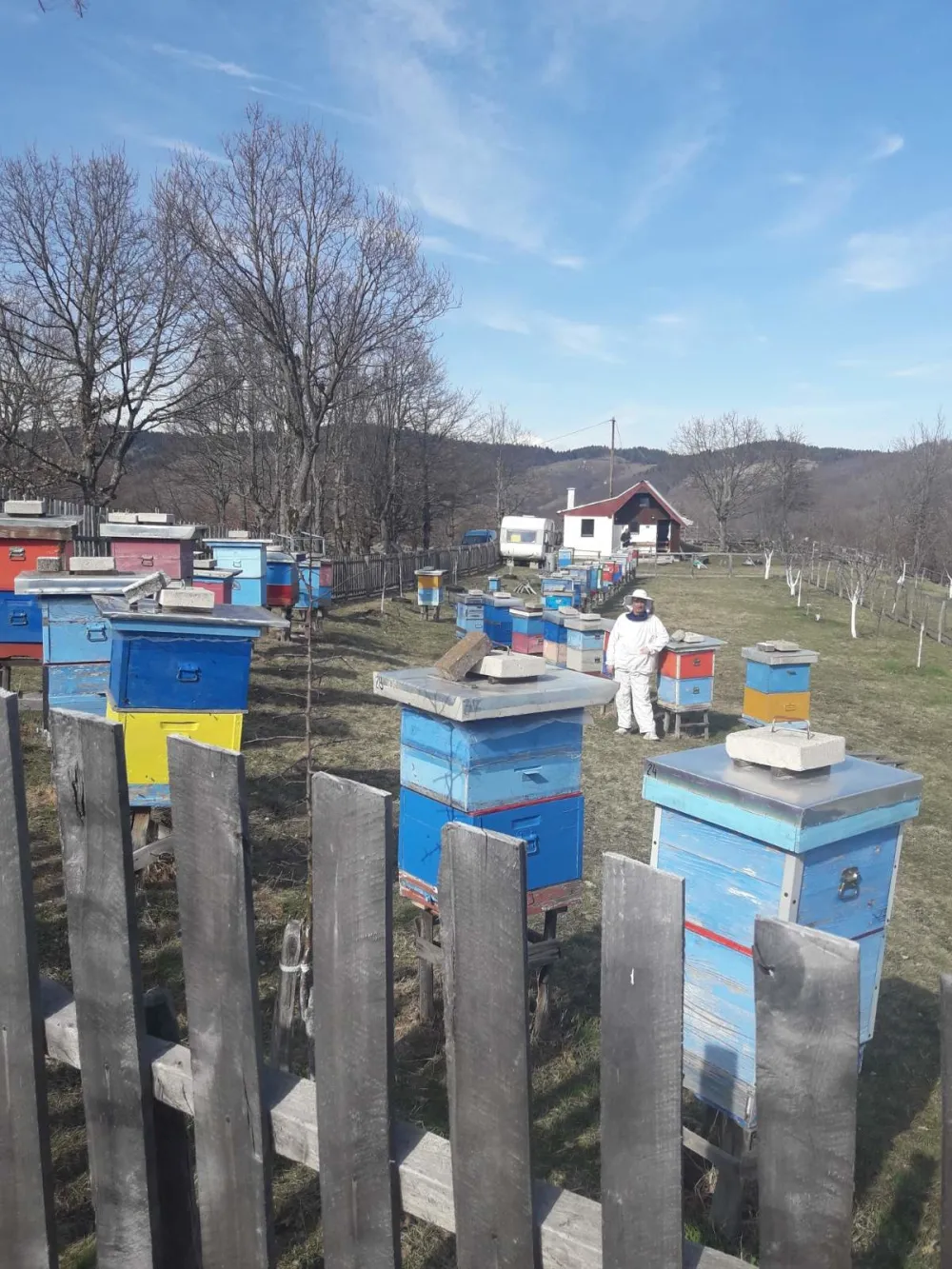 Пљеваљски пчелари кажу да меда  нема ни за пчеле ни за госте