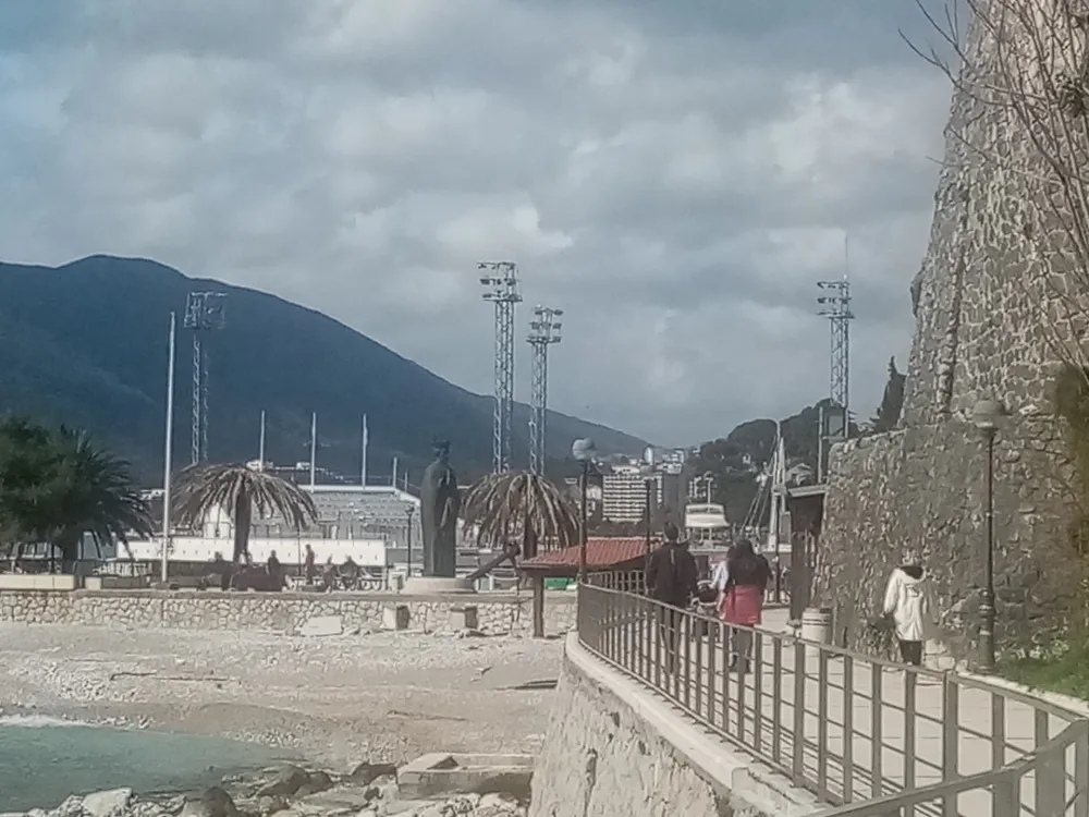 На Шкверу у Херцег Новом од седам остале само двије палме