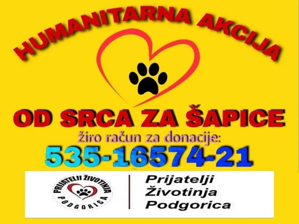 НВО "Пријатељи животиња Подгорица" : Хуманитарна акција "Од срца за шапице"
