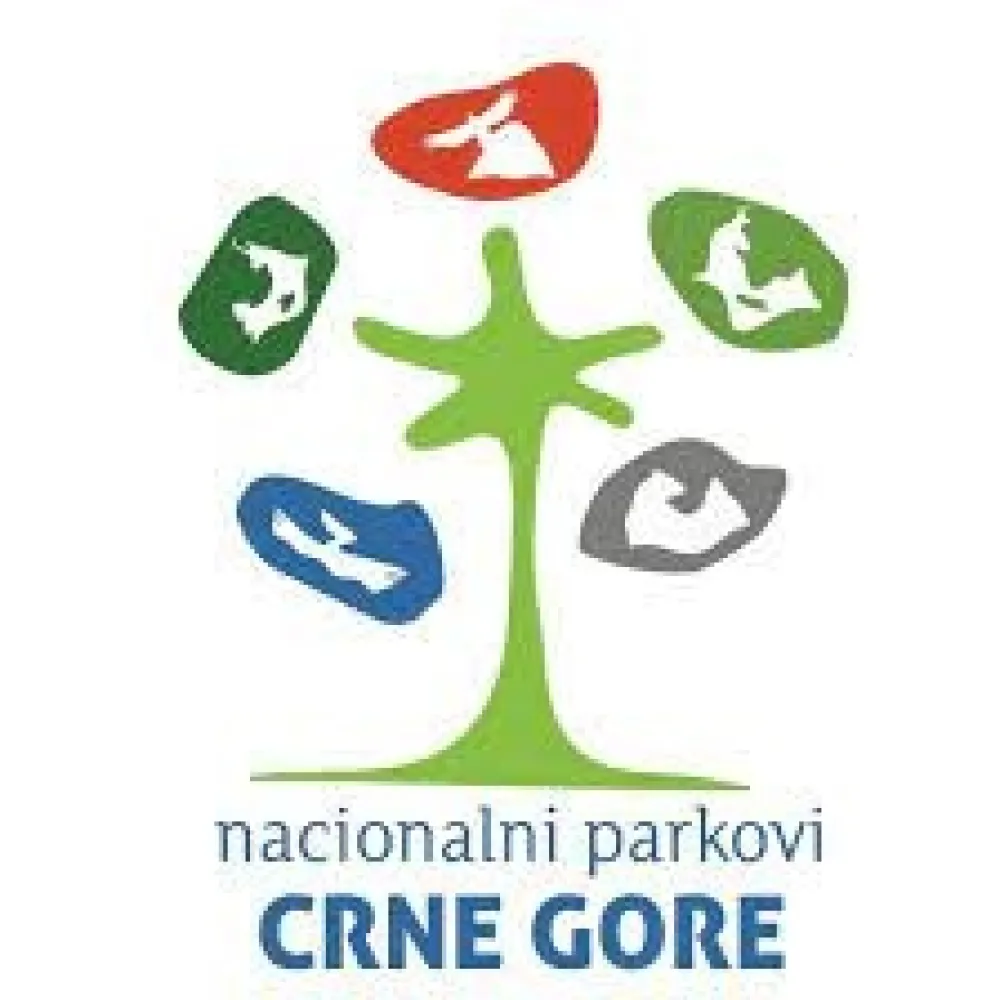Јочић: До већег прихода повећаном понудом
