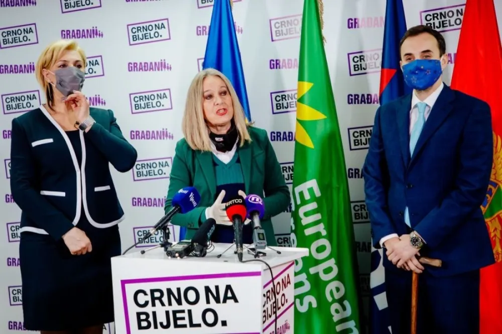 Јелушић и Зороњић траже контролно саслушање Митровића