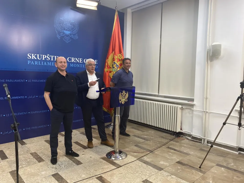 (ВИДЕО - ФОТО) Мандић: Предложили смо Лекића за премијера, а ДФ да има предсједника Скупштине