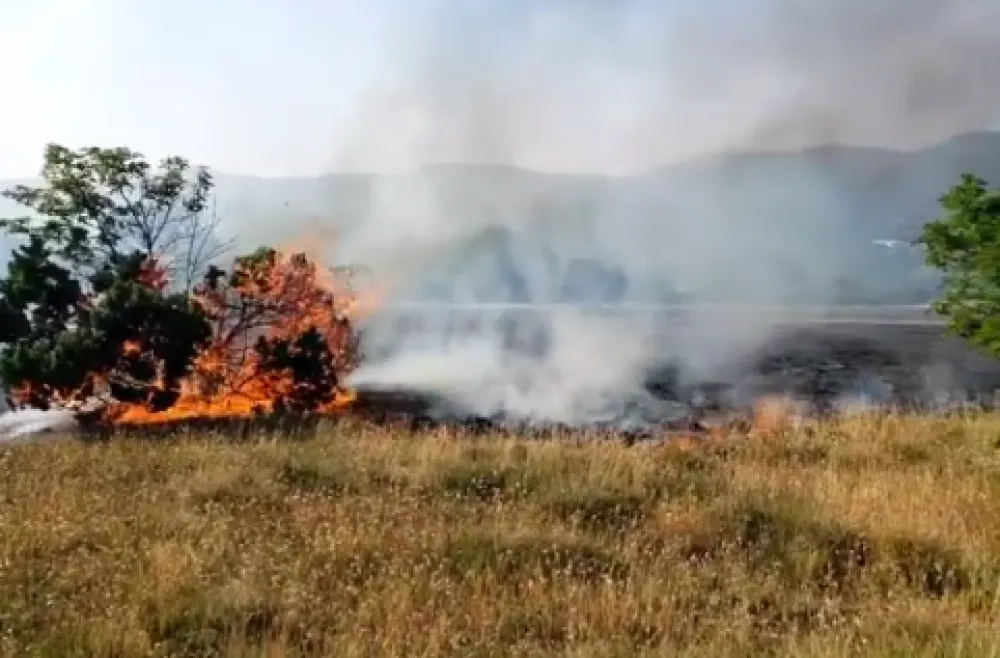(ВИДЕО) Током дана подгорички ватрогасци гасили 11 пожара и спасили једну особу