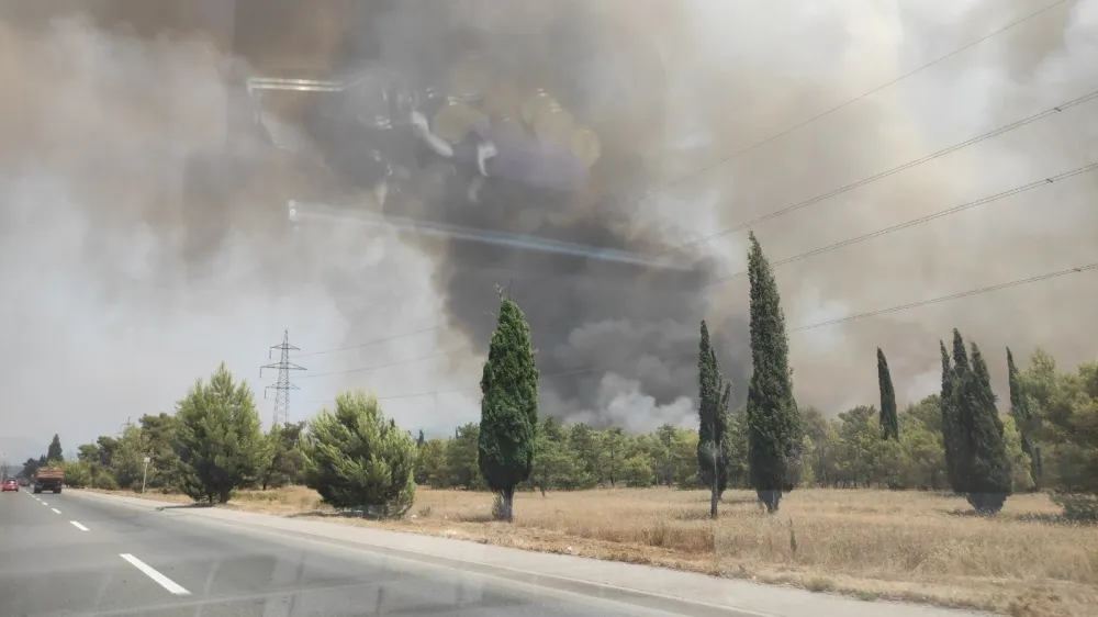 (ФОТО, ВИДЕО) Велики пожар на улазу у Подгорицу, ватрогасци тврде да је подметнут