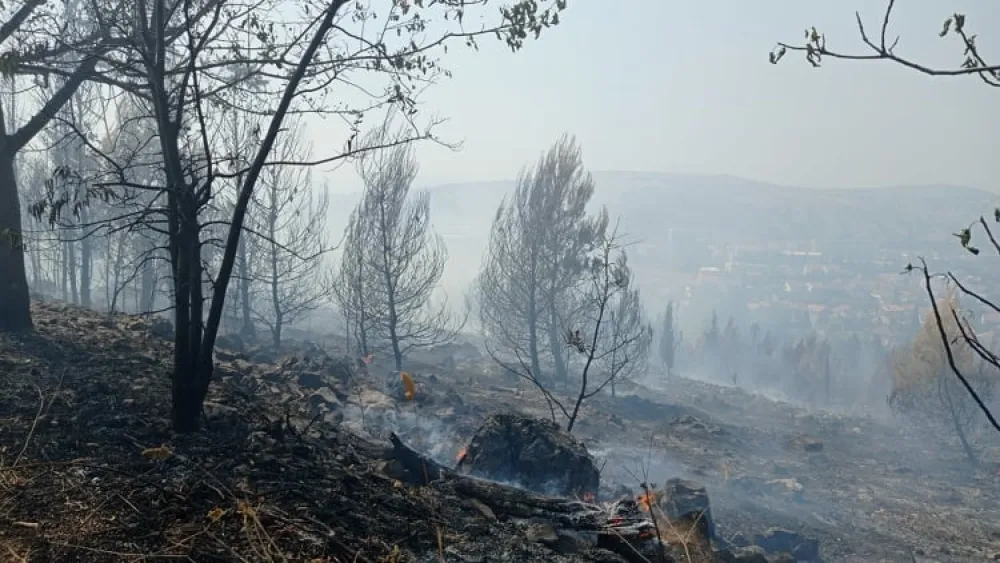 Осуда подметања пожара на Горици