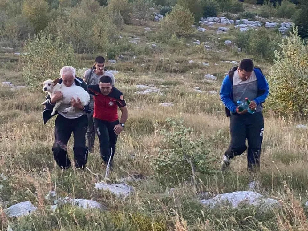 Пожари букте између Голије и Бањана, на планини Његош спашено пет особа