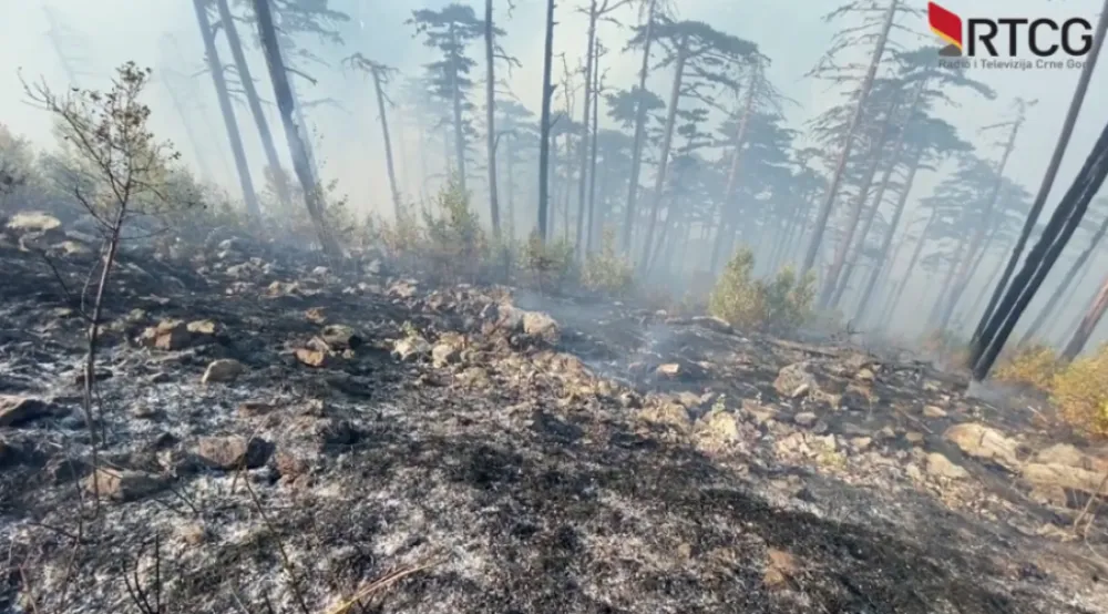 Пожар у кањону Таре прераста у два одвојена