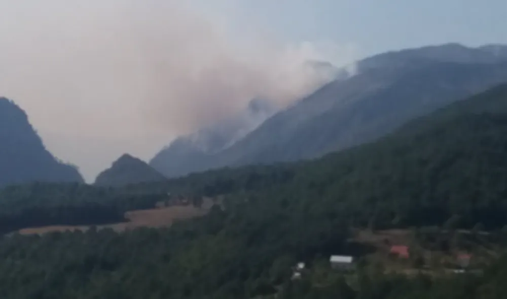 Пожар у кањону Таре иде у два правца