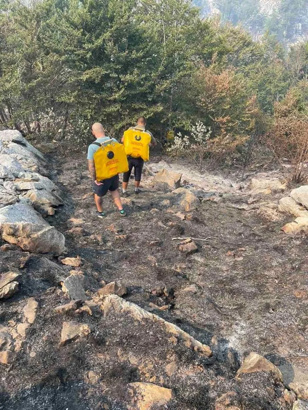 (ФОТО) НП Ловћен: Након два дана борбе са ватреном стихијом пожар стављен под контролу