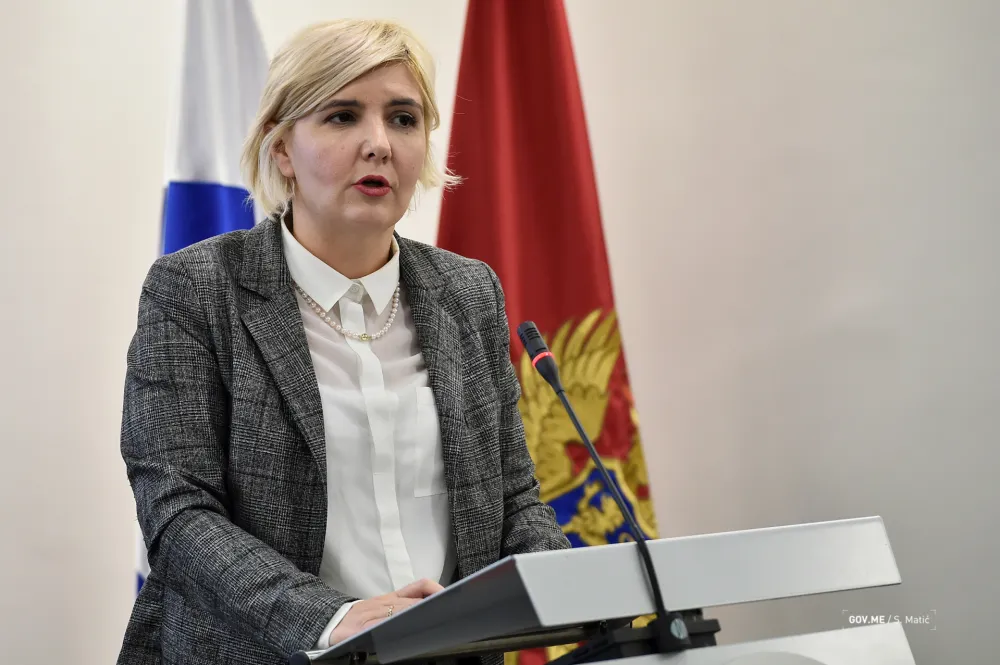 Драгица Секулић за портал Дан: Ишла сам у Србију на сахрану баби, привели ме због лијека за смирење