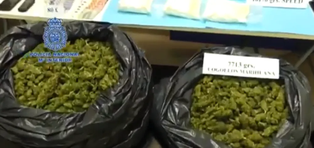 (ВИДЕО) Пронађене три плантаже марихуане: Одузето 8.200 биљака