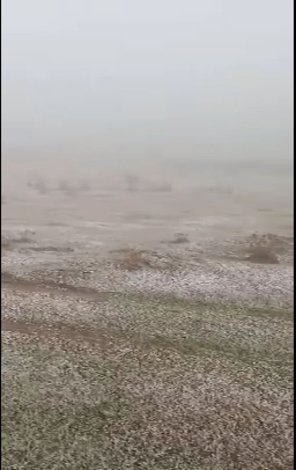 (ВИДЕО) Прве пахуље обрадовале Бјеласицу