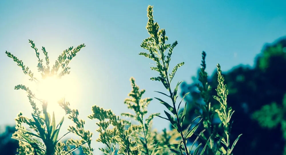 Данас претежно сунчано, до 27 степени