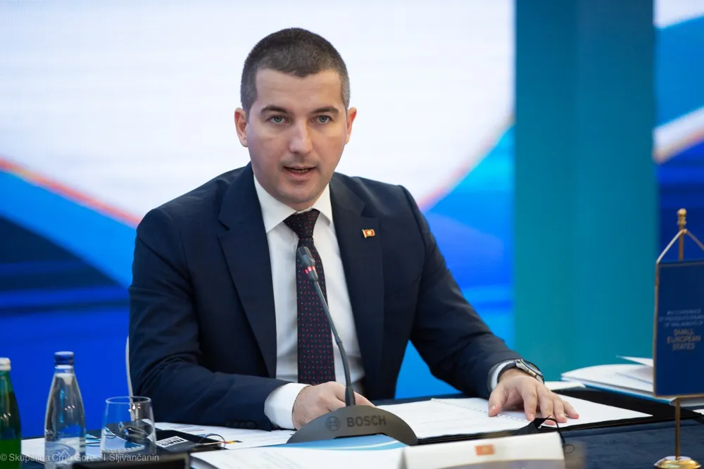 Холтхоф-Фертнер: Бечић показао да у земљи постоjе људи спремни да се супротставе поларизациjи