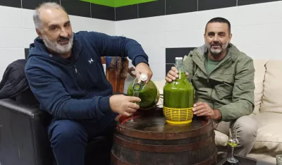 Са Старе маслине убран 101 килограм маслина