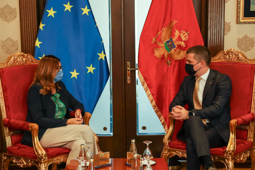 Бечић-Попа: Скупштина јако битан партнер ЕУ, даље унапређивати њено дјеловање