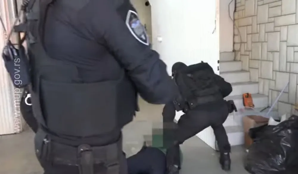 (ВИДЕО) У Србији ухапшен држављанин Црне Горе, заплијељено 1.170 стабљика канабиса