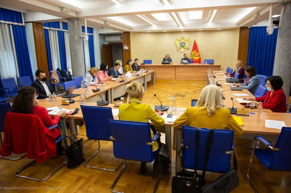 Саслушана Братић, Боровинић Бојовић, Спајић и Милатовић