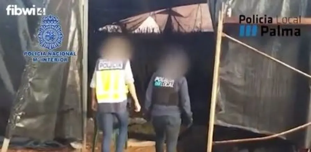 (ВИДЕО) Бугари ухапшени због 1.110 биљака марихуане