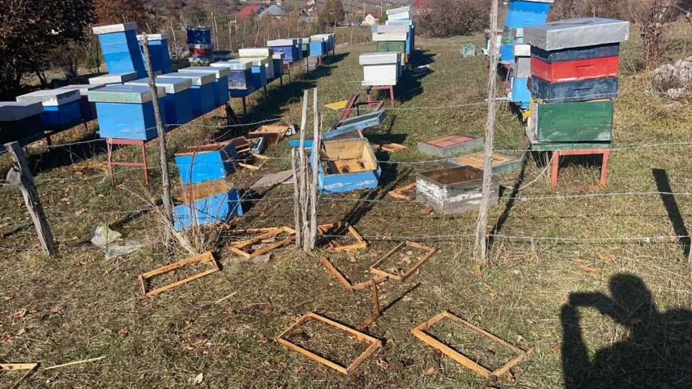 Медвјед уништио око 80 кошница у петњичком селу Бор