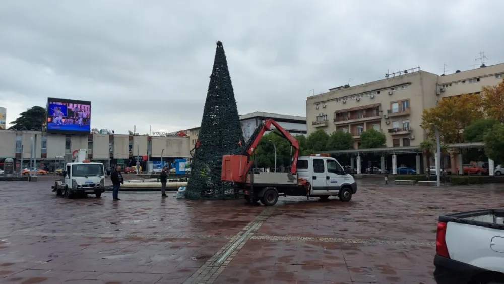 Стигла јелка на трг: Припреме за Новогодишњи пазар увелико почињу