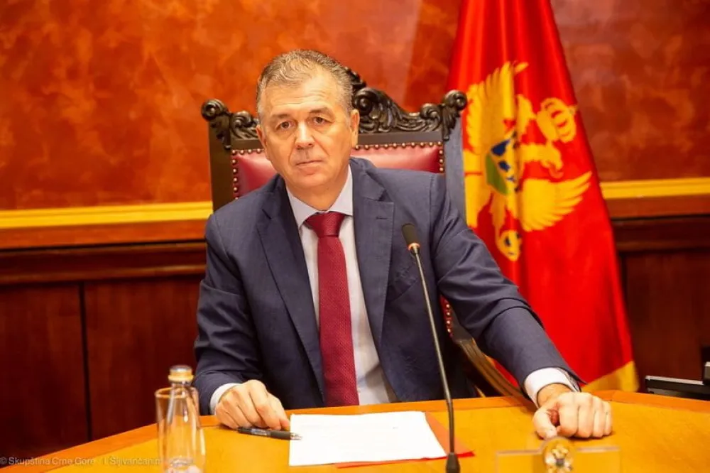 Истакнута неопходност интензивирања сарадње Одбора и Мисије
