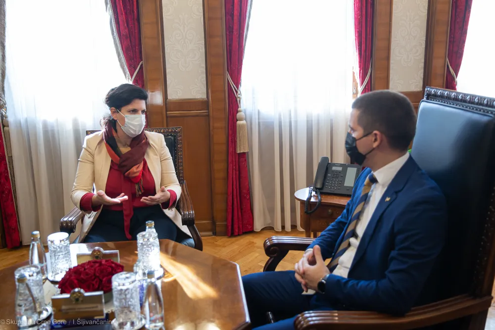 Кордић: Резултате Скупштине треба афирмисати као додатну вриједност у процесу преговора са ЕУ