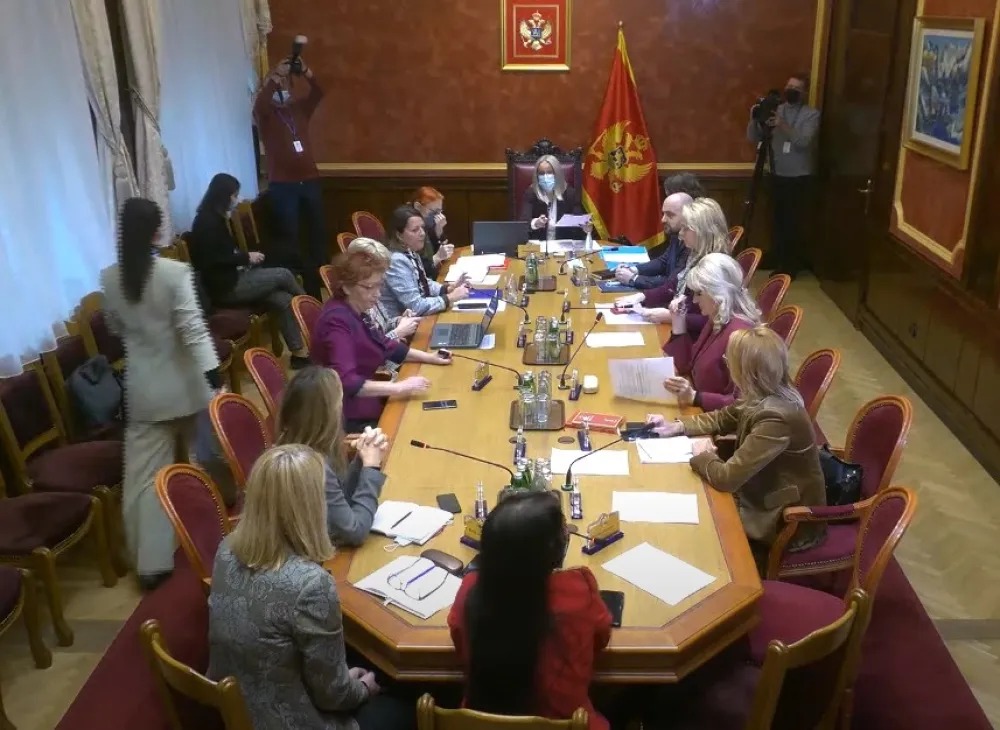 (ВИДЕО) Секуловић: Промјена исказа Шејле отежала поступање полиције