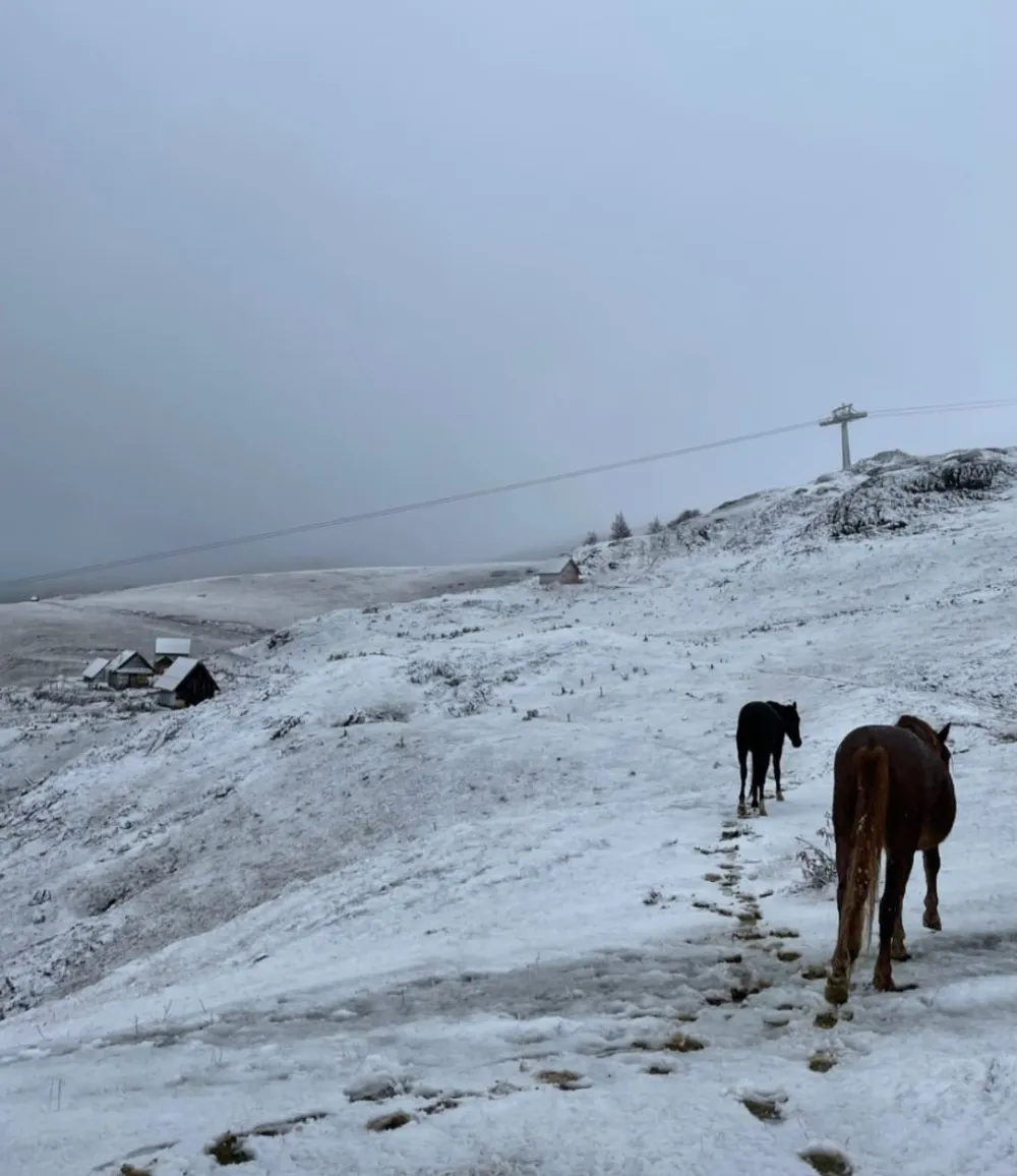 Забијељело на Бјеласици