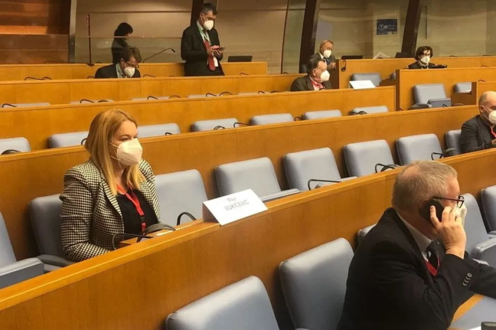 Вукићевић учествовала на сједници Сталног комитета ПССЕ