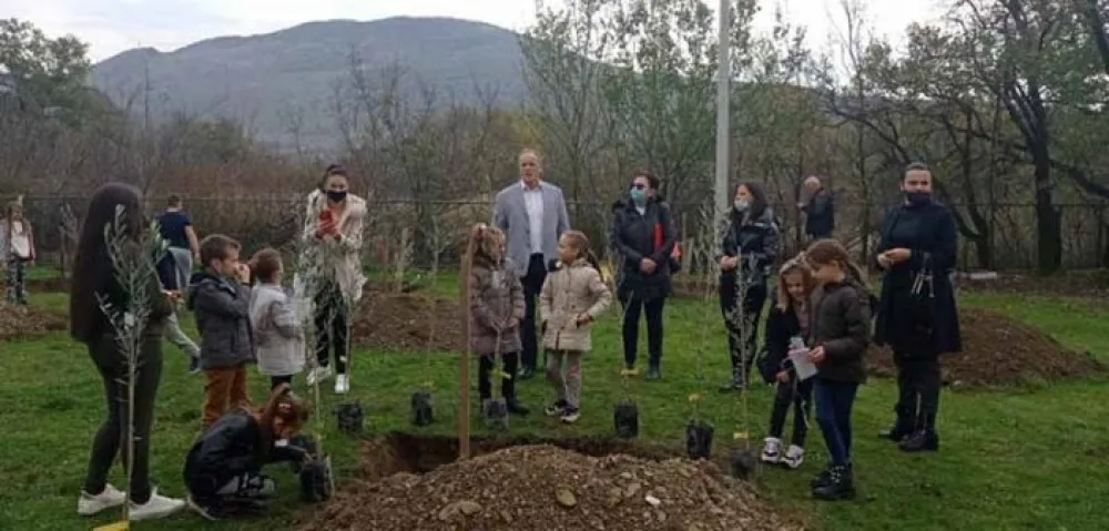 Почело формирање паркова &bdquo;Маслињаци дјеце Црне Горе&rdquo;