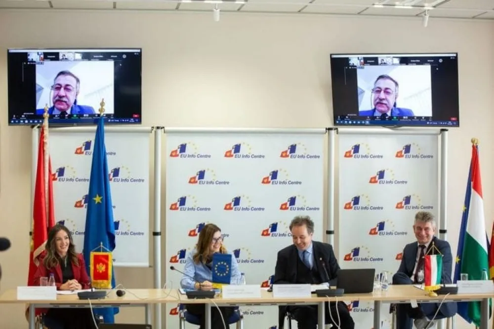 Промоција и заштита права мањинских народа кључ европске будућности