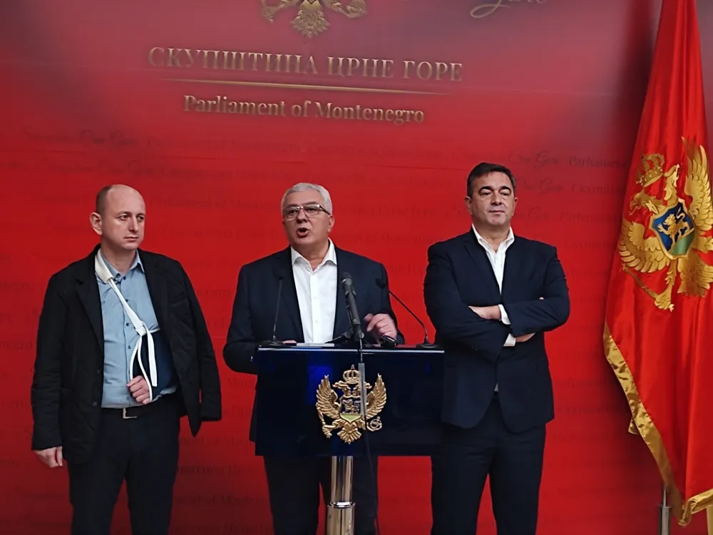 (ВИДЕО) Мандић: Предлажемо изборе, нећемо рушити Владу са ДПС-ом