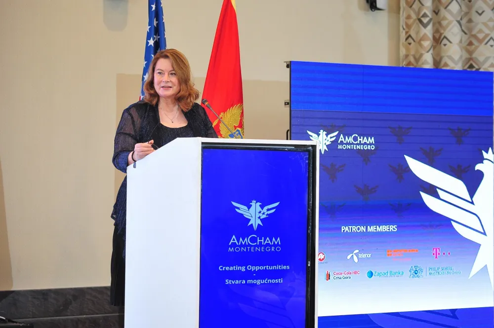 Рајнке: Амерички привредници указују на корупцију и неповјерење у црногорском систему