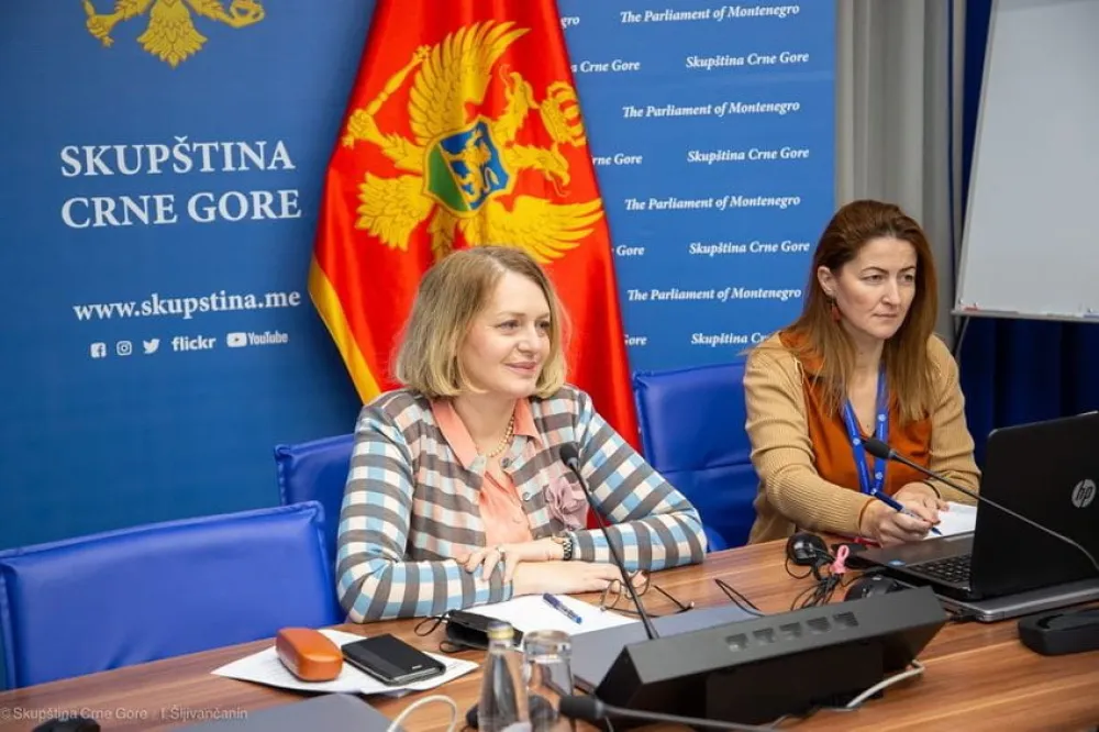 Интензивирати рад на законима