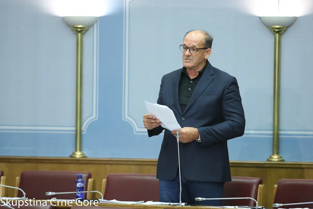 Зечевић поднио оставку на функцију посланика, замијениће га Алексић