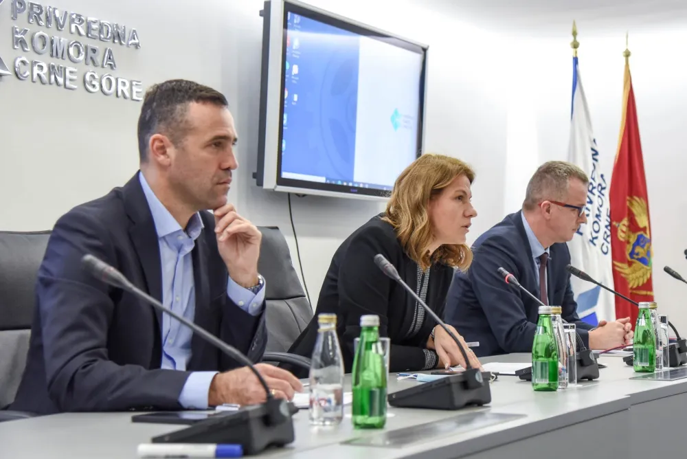 Радовановић потпредсједник Коморе, Бајчета генерални секретар