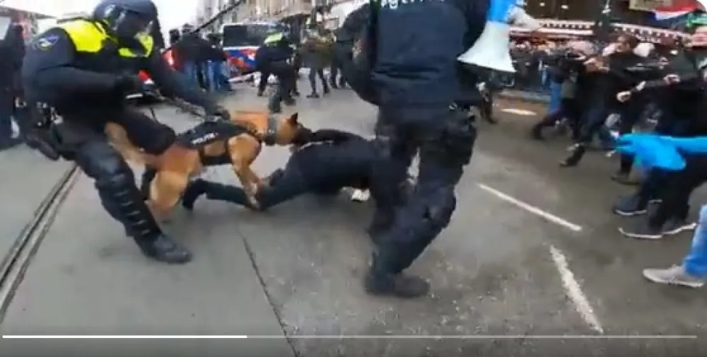 (ВИДЕО) Жесток сукоб на протесту у Амстердаму, полициjски пас уjео демонстранта