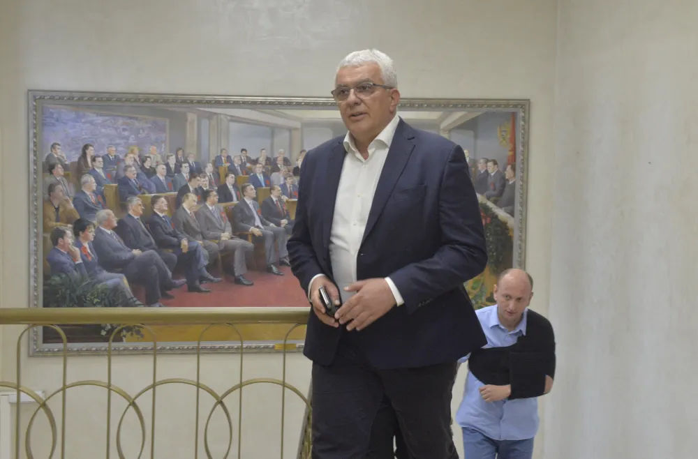 Мандић: Нову Владу бирамо ове године