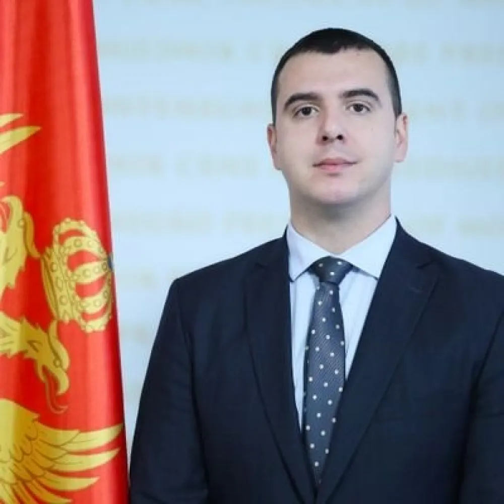 Радовић: Премијер рече да је ово најбоља Влада у историји, а пола ње га минира
