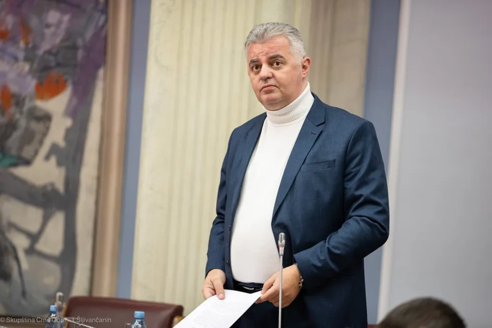 Бојовић: Предложићу Кнежевићу да ДНП формира мањинску владу