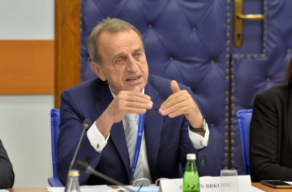 Dragan Brkovic, htp Boka, Vektra, htp Boka ad Herceg Novi
