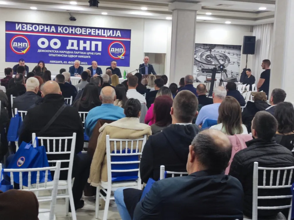 ДНП, конференција