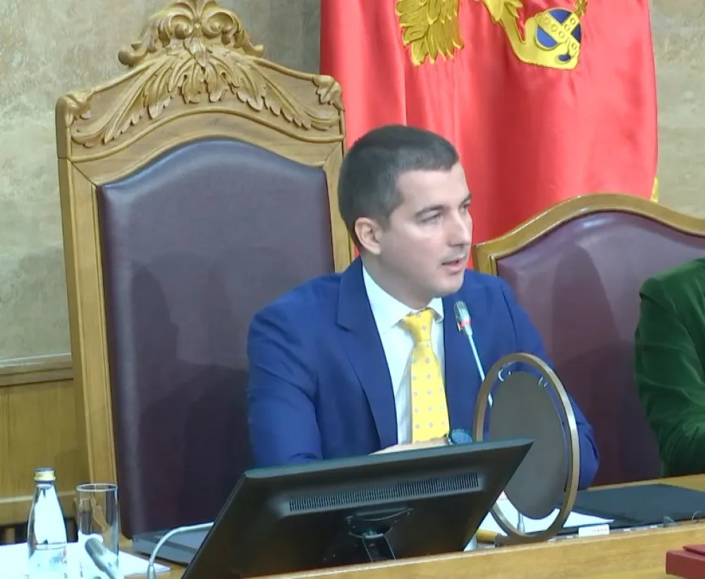 Алекса Бечић