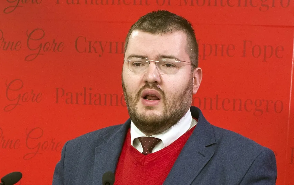 Srdjan Boljevic