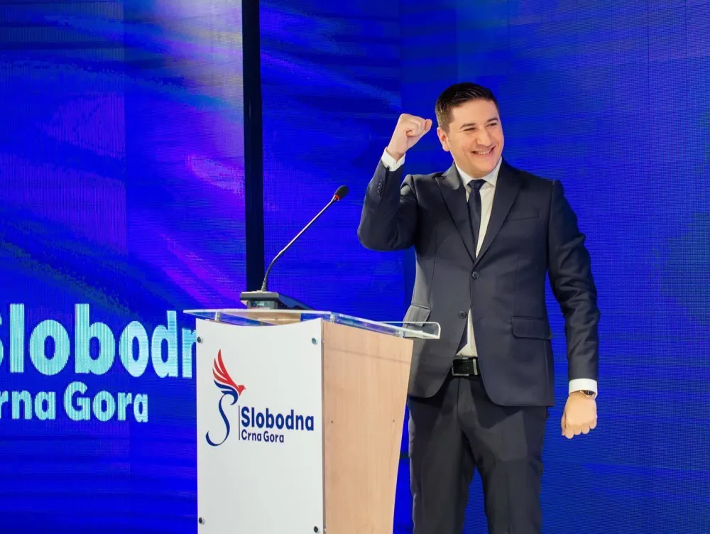 Владислав Дајковић