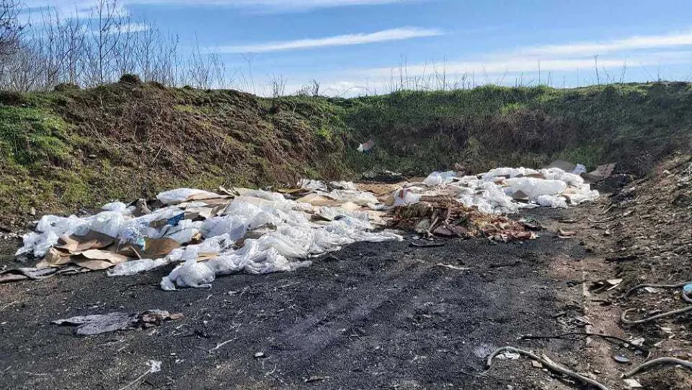 Залеђе Велике плаже поново затрпано смећем