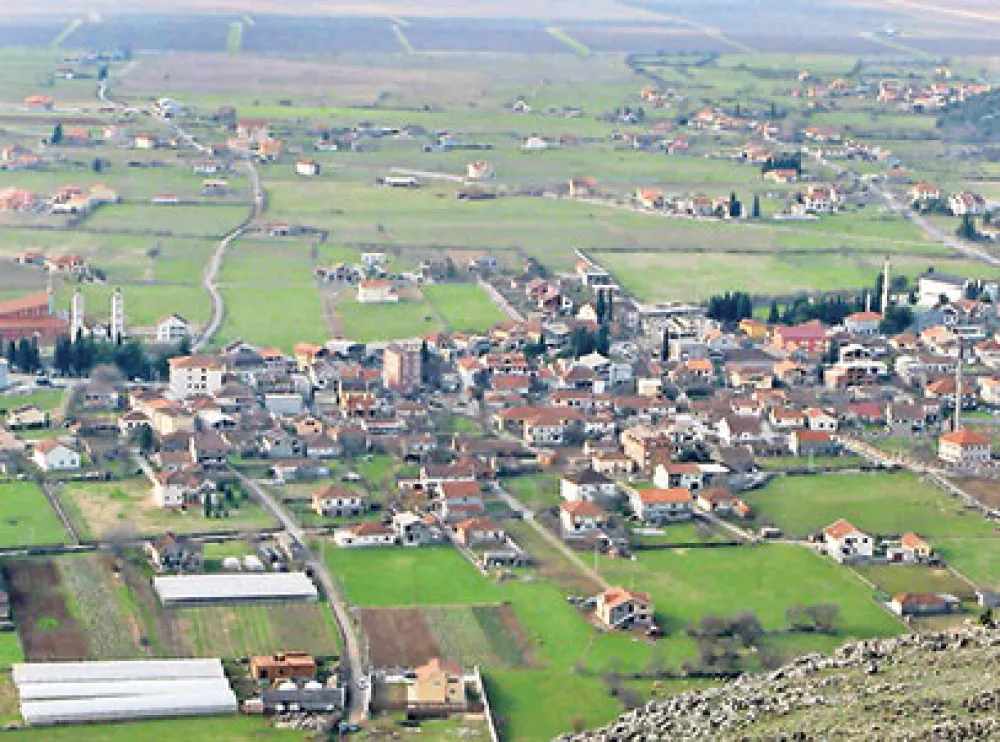 Tuzi budzet