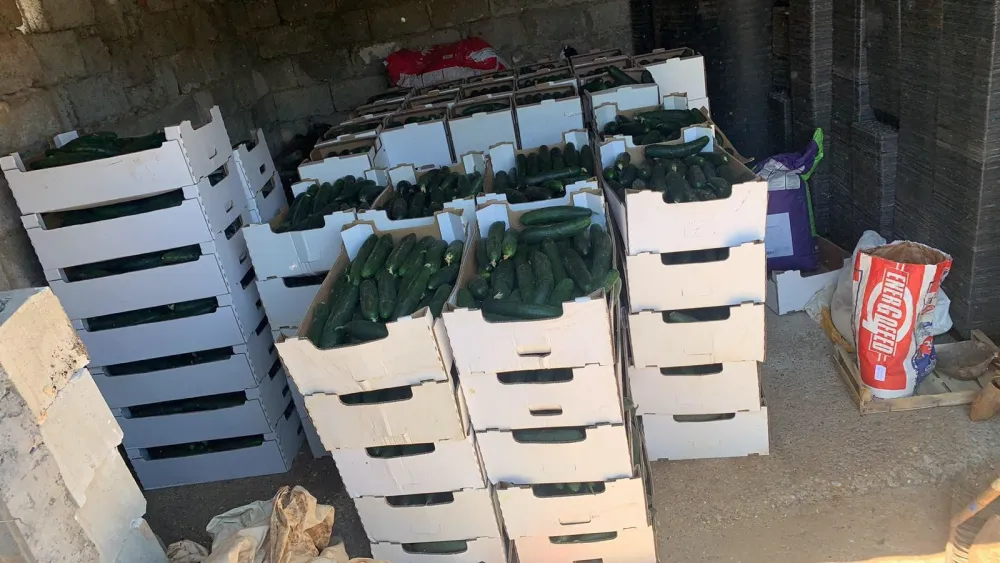 Пољопривредници у Малесији немају организован пласман производа: Хитно формирати откупне центре за воће и поврће