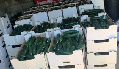 Urgjentisht t&euml; formohen qendrat grumbulluese p&euml;r pem&euml; dhe perime
